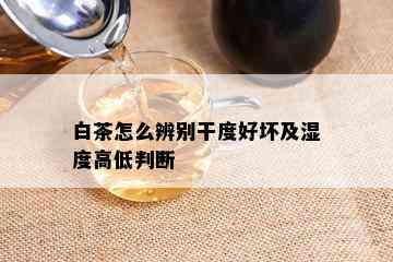 白茶怎么辨别干度好坏及湿度高低判断