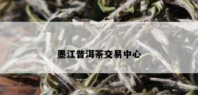 墨江普洱茶交易中心