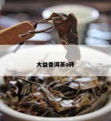 大益普洱茶a砖