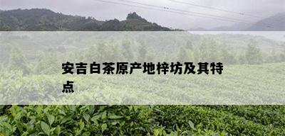 安吉白茶原产地梓坊及其特点