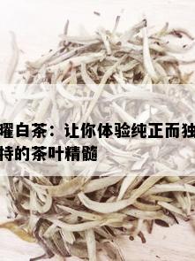 曜白茶：让你体验纯正而独特的茶叶精髓