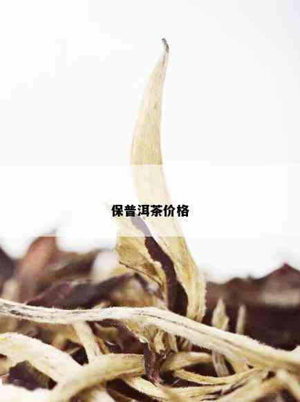 保普洱茶价格