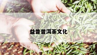 益普普洱茶文化