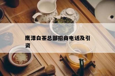 鹰潭白茶总部招商电话及引资