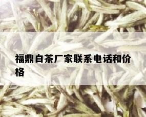 福鼎白茶厂家联系电话和价格