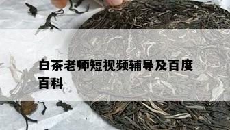 白茶老师短视频辅导及百度百科