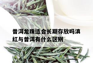 普洱龙珠适合长期存放吗滇红与普洱有什么区别