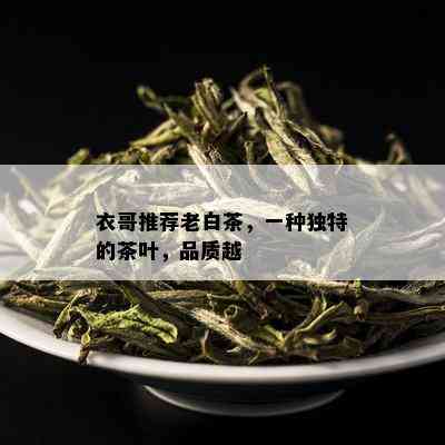 衣哥推荐老白茶，一种独特的茶叶，品质越