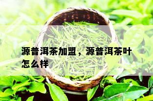 源普洱茶加盟，源普洱茶叶怎么样