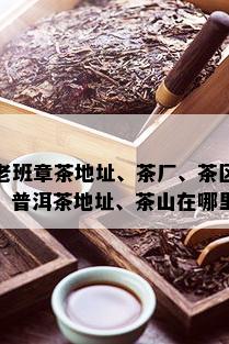 老班章茶地址、茶厂、茶区、普洱茶地址、茶山在哪里