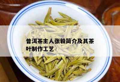 普洱茶主人张毅简介及其茶叶制作工艺