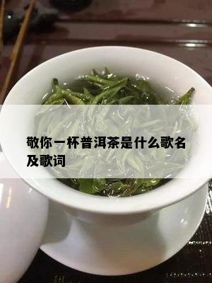 敬你一杯普洱茶是什么歌名及歌词