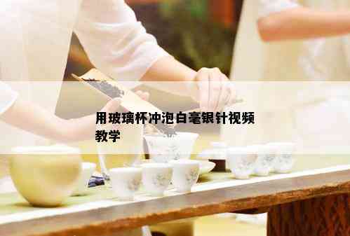 用玻璃杯冲泡白毫银针视频教学