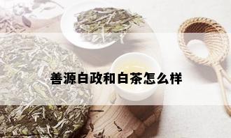 善源白政和白茶怎么样