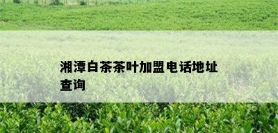 湘潭白茶茶叶加盟电话地址查询