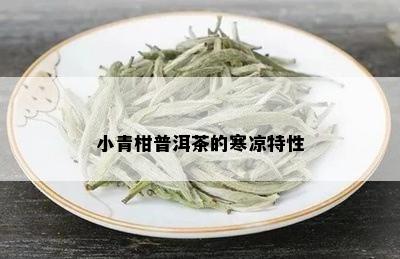 小青柑普洱茶的寒凉特性