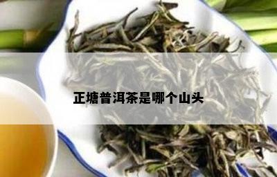 正塘普洱茶是哪个山头