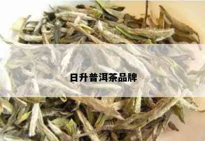 日升普洱茶品牌