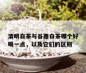 清明白茶与谷雨白茶哪个好喝一点，以及它们的区别