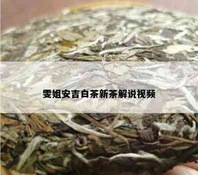 雯姐安吉白茶新茶解说视频