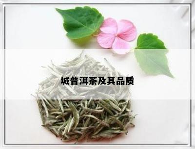 城普洱茶及其品质