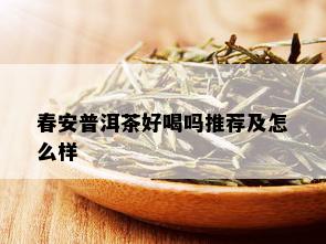 春安普洱茶好喝吗推荐及怎么样