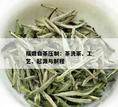 福鼎白茶压制：茶洗茶、工艺、起源与制程