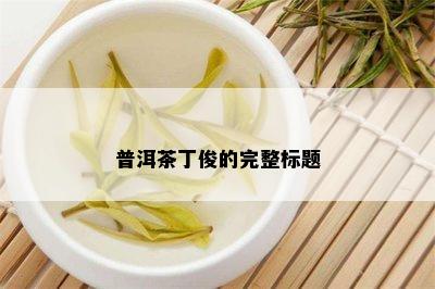 普洱茶丁俊的完整标题