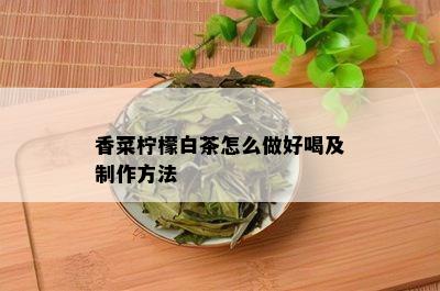 香菜柠檬白茶怎么做好喝及制作方法