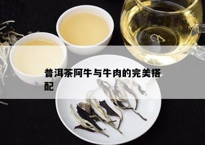 普洱茶阿牛与牛肉的完美搭配