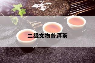 二级文物普洱茶