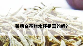 茉莉白茶赠水杯是真的吗？