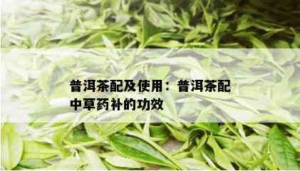 普洱茶配及使用：普洱茶配中草补的功效