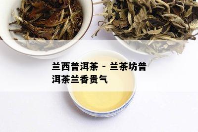 兰西普洱茶 - 兰茶坊普洱茶兰香贵气