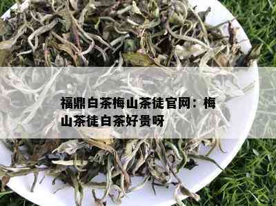 福鼎白茶梅山茶徒官网：梅山茶徒白茶好贵呀