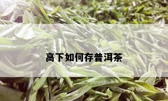 高下如何存普洱茶