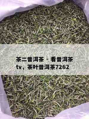 茶二普洱茶 - 看普洱茶tv，茶叶普洱茶7262