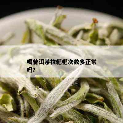 喝普洱茶拉粑粑次数多正常吗？