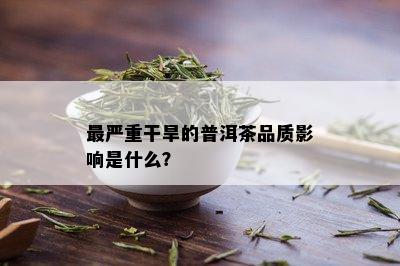 最严重干旱的普洱茶品质影响是什么？