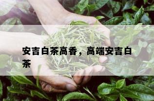 安吉白茶高香，高端安吉白茶