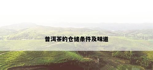 普洱茶的仓储条件及味道