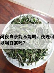 阁夜白茶能不能喝，夜晚可以喝白茶吗？