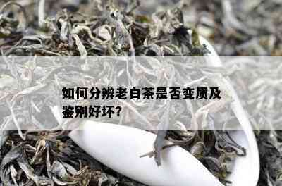 如何分辨老白茶是否变质及鉴别好坏?