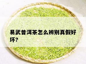 易武普洱茶怎么辨别真假好坏?