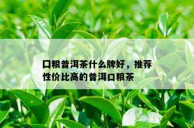 囗粮普洱茶什么牌好，推荐性价比高的普洱口粮茶