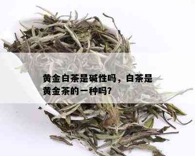 黄金白茶是碱性吗，白茶是黄金茶的一种吗？