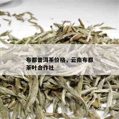 布都普洱茶价格，云南布都茶叶合作社