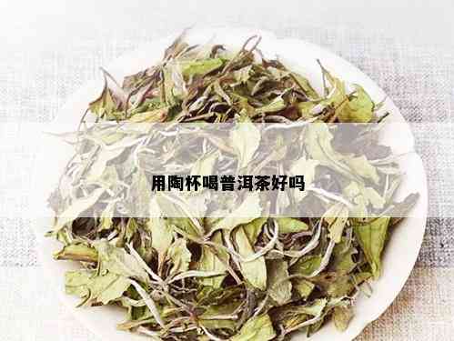 用陶杯喝普洱茶好吗