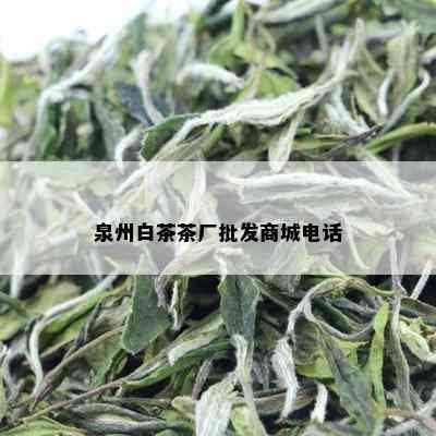 泉州白茶茶厂批发商城电话