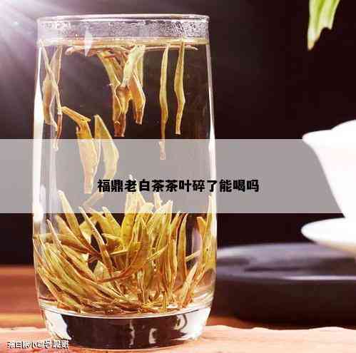 福鼎老白茶茶叶碎了能喝吗